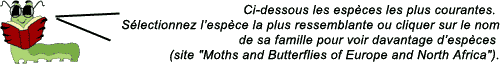 S�lectionnez l'esp�ce la plus ressemblante